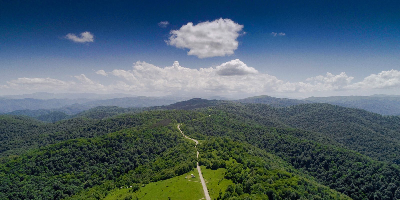 Trees are just like humans – Celebration of World Environment Day in Armenia