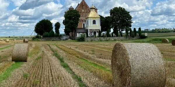 Belarus sets economy-wide unconditional and conditional targets to reduce greenhouse gas emissions