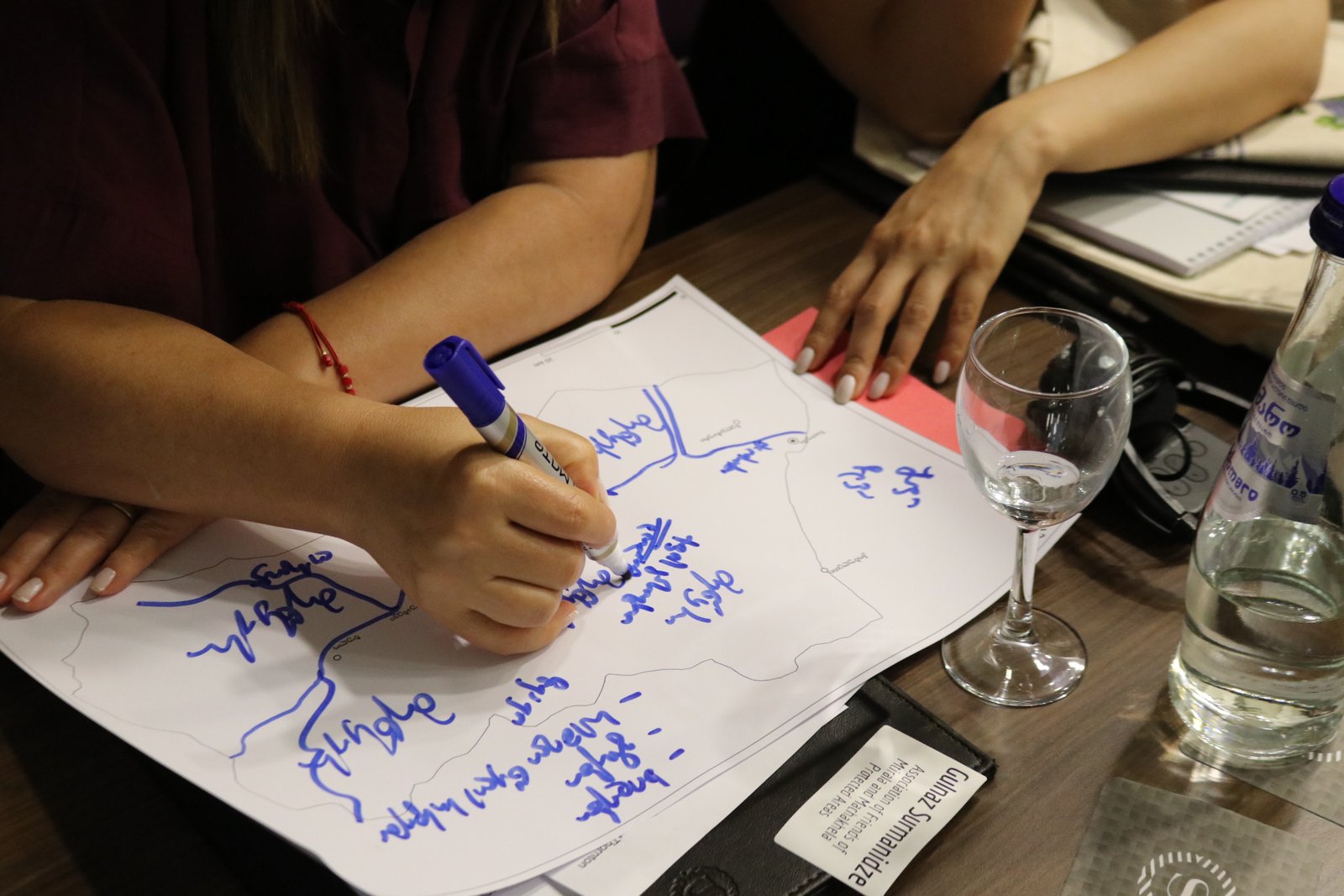 Strengthening Local Climate Leadership In Western Georgia