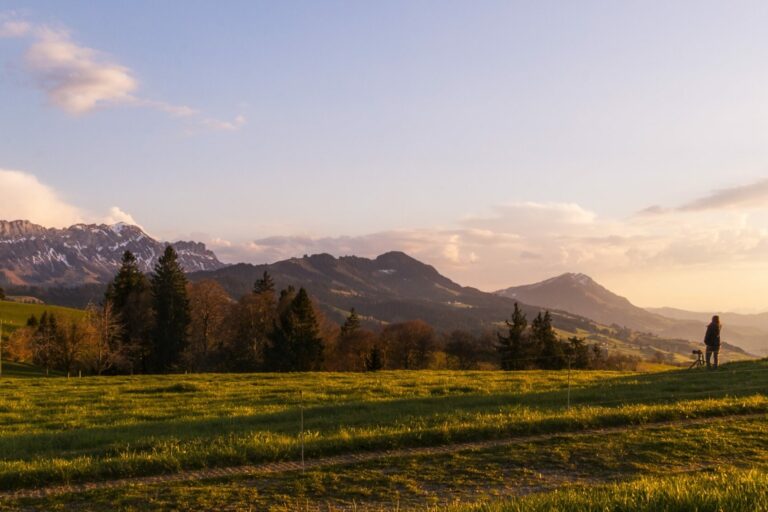 abendstimmung-alternative-energy-dawn-ecology-414805