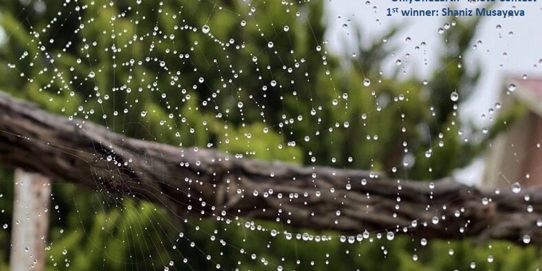 1st Place winner – Shaniz Musayeva 16 yo