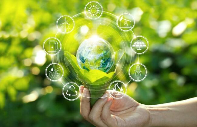 sustainability-775×500