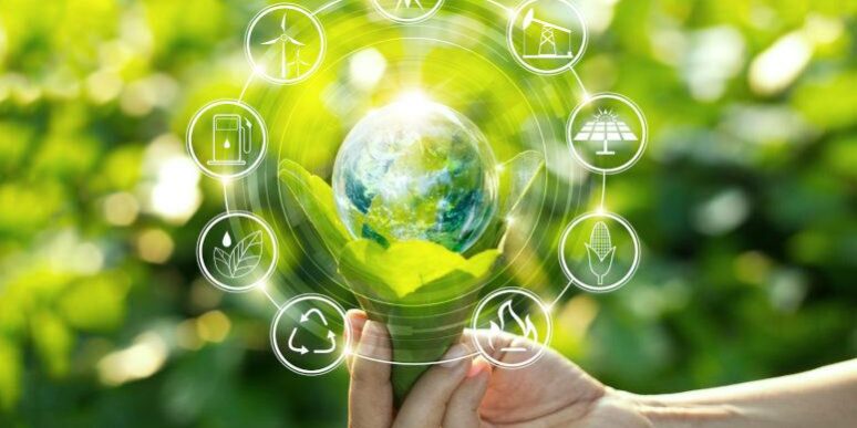 sustainability-775×500