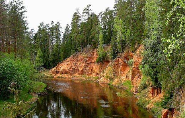 Ukraine success story